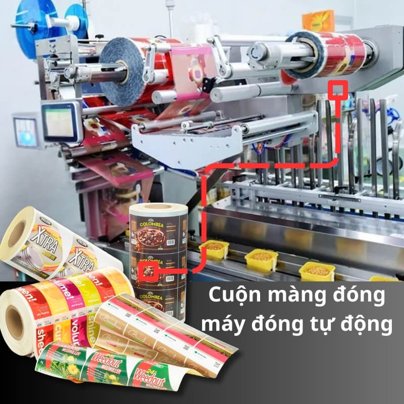 Cuồn mạng đóng túi đựng bánh trung thu tự động